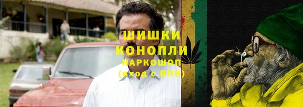 ГАЛЛЮЦИНОГЕННЫЕ ГРИБЫ Богданович
