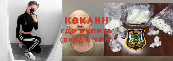 прущие грибы Богородицк