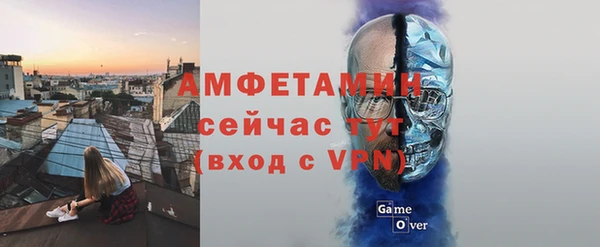 ГАЛЛЮЦИНОГЕННЫЕ ГРИБЫ Богданович