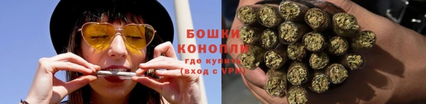 прущие грибы Богородицк