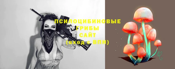 прущие грибы Богородицк