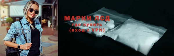 прущие грибы Богородицк