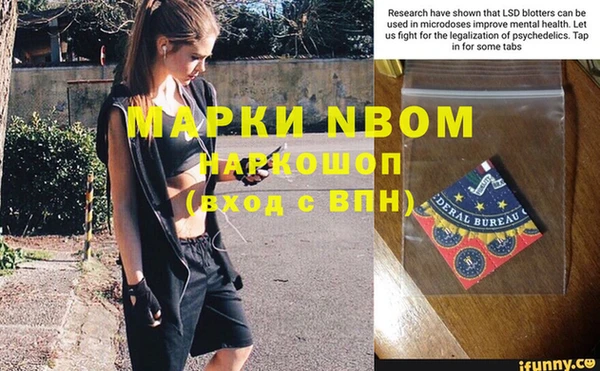 ГАЛЛЮЦИНОГЕННЫЕ ГРИБЫ Богданович