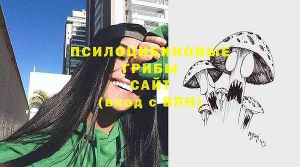 прущие грибы Богородицк