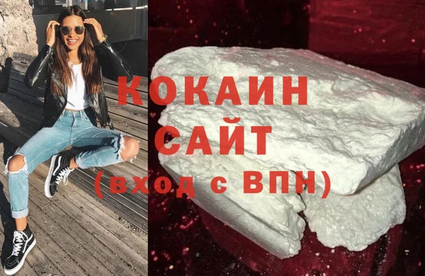 ГАЛЛЮЦИНОГЕННЫЕ ГРИБЫ Богданович