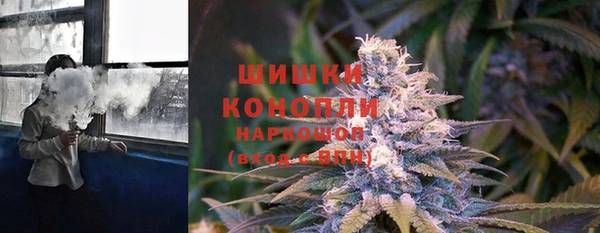 ГАЛЛЮЦИНОГЕННЫЕ ГРИБЫ Богданович
