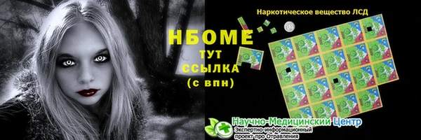 прущие грибы Богородицк