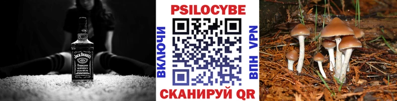 Псилоцибиновые грибы Magic Shrooms  купить   Бородино 